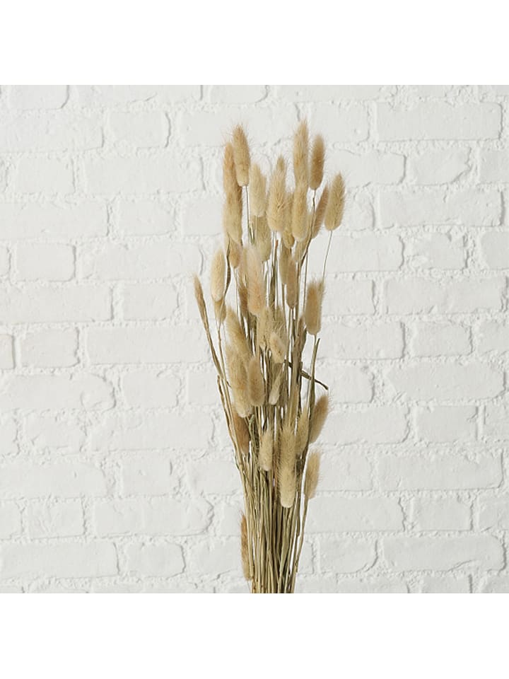 Dekostuck Store -Dekostuck Store boltze 2er set dekoblumen samtgras in beige braun 1 1