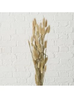 2er-Set: Dekoblumen "Samtgras" In Beige/ Braun -Dekostuck Store boltze 2er set dekoblumen samtgras in beige braun 1