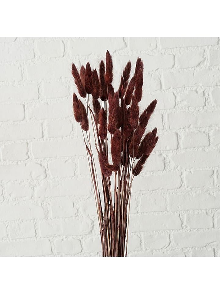 Dekostuck Store -Dekostuck Store boltze 2er set dekoblumen samtgras in beige braun 2 1