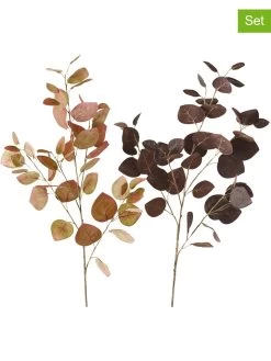 2er-Set: Dekozweige "Dichondra" In Hellbraun/ Braun - (H)95 Cm