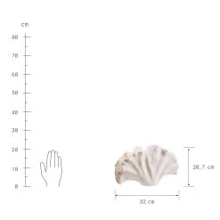 Deko-Objekt Blatt Höhe 21cm GINKGO In Creme -Dekostuck Store butlers deko objekt blatt hohe 21cm ginkgo in creme 3