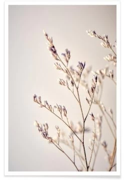 Poster "Purple Buds" In Braun & Cremeweiß