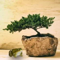 Gartenfigur Frosch In Grün -Dekostuck Store relaxdays gartenfigur frosch in grun 4