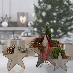 3er Set Holzstern Zum Bepflanzen In Grau -Dekostuck Store unus 3er set holzstern zum bepflanzen in grau 6