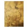 Leinwandbild Gold - Federleichte Wildblumen In Braun -Dekostuck Store wallart leinwandbild gold federleichte wildblumen in braun
