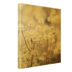 Leinwandbild Gold - Federleichte Wildblumen In Braun 16 Leinwandbild Gold - Federleichte Wildblumen In Braun -Dekostuck Store wallart leinwandbild gold federleichte wildblumen in braun 5