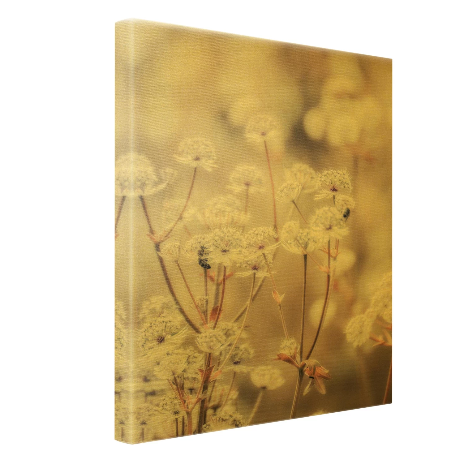 Leinwandbild Gold - Federleichte Wildblumen In Braun 8 Leinwandbild Gold - Federleichte Wildblumen In Braun – Bild 6