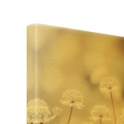 Leinwandbild Gold - Federleichte Wildblumen In Braun 17 Leinwandbild Gold - Federleichte Wildblumen In Braun -Dekostuck Store wallart leinwandbild gold federleichte wildblumen in braun 6