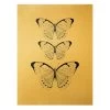 Leinwandbild Gold - Schmetterling Auf Beige In Creme-Beige 2 Leinwandbild Gold - Schmetterling Auf Beige In Creme-Beige -Dekostuck Store wallart leinwandbild gold schmetterling auf beige in creme beige