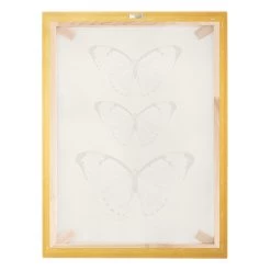 Leinwandbild Gold - Schmetterling Auf Beige In Creme-Beige -Dekostuck Store wallart leinwandbild gold schmetterling auf beige in creme beige 7