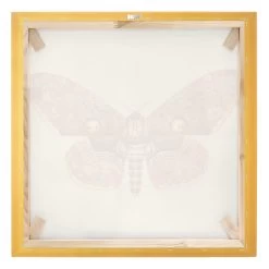 Leinwandbild Gold - Vintage Motte In Rot 18 Leinwandbild Gold - Vintage Motte In Rot -Dekostuck Store wallart leinwandbild gold vintage motte in rot 7