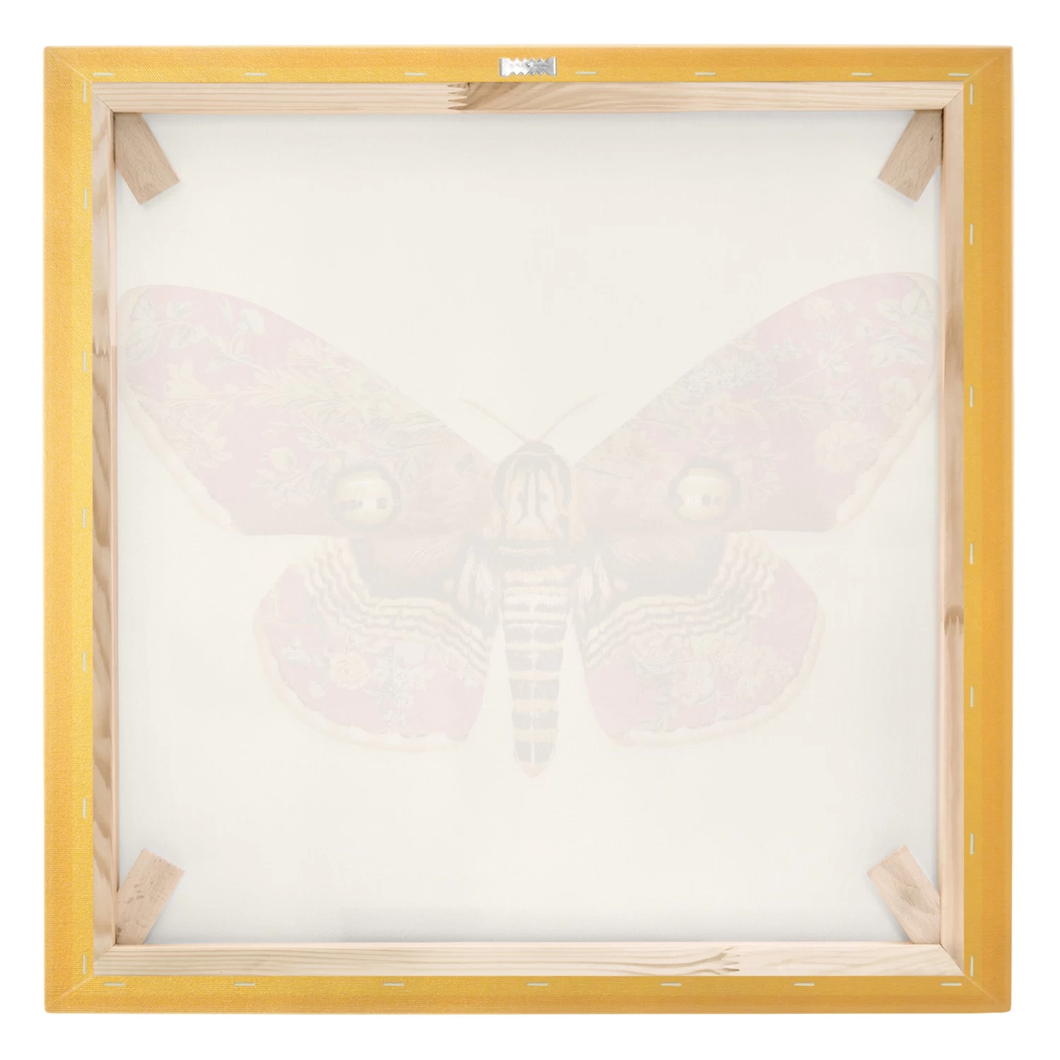 Leinwandbild Gold - Vintage Motte In Rot 10 Leinwandbild Gold - Vintage Motte In Rot – Bild 8