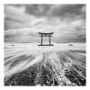 Leinwandbild - Japanisches Torii Im Meer In Schwarz-Weiß -Dekostuck Store wallart leinwandbild japanisches torii im meer in schwarz weiss