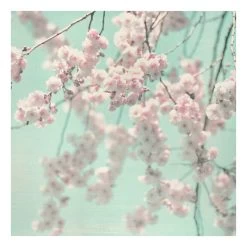 Leinwandbild - Kirschblütentanz Auf Leinenstruktur In Creme-Beige