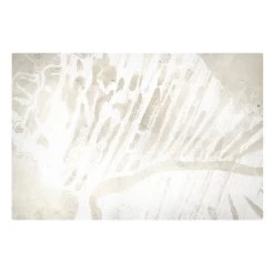 Leinwandbild - Tritonmuschel Silhouette Auf Leinen In Creme-Beige