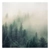 Leinwandbild - Wald Im Nebel Erwachen In Grün 2 Leinwandbild - Wald Im Nebel Erwachen In Grün -Dekostuck Store wallart leinwandbild wald im nebel erwachen in grun