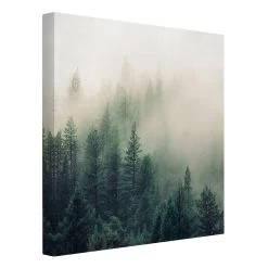 Leinwandbild - Wald Im Nebel Erwachen In Grün -Dekostuck Store wallart leinwandbild wald im nebel erwachen in grun 4