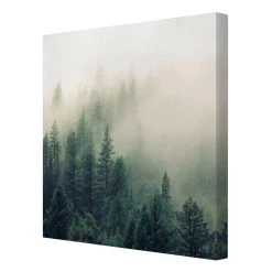 Leinwandbild - Wald Im Nebel Erwachen In Grün -Dekostuck Store wallart leinwandbild wald im nebel erwachen in grun 5