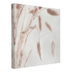 Leinwandbild - Zartes Glanzgras In Creme-Beige -Dekostuck Store wallart leinwandbild zartes glanzgras in creme beige 4