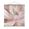 Stoffbild Mit Posterleisten - Rosane Sukkulentenblüte In Rosa -Dekostuck Store wallart stoffbild mit posterleisten rosane sukkulentenblute in rosa