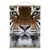 Stoffbild Mit Posterleisten - Tiger Eyes In Braun