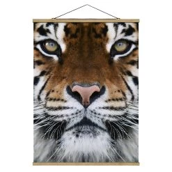 Stoffbild Mit Posterleisten - Tiger Eyes In Braun -Dekostuck Store wallart stoffbild mit posterleisten tiger eyes in braun 4