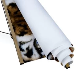 Stoffbild Mit Posterleisten - Tiger Eyes In Braun -Dekostuck Store wallart stoffbild mit posterleisten tiger eyes in braun 5